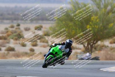 media/Apr-10-2022-SoCal Trackdays (Sun) [[f104b12566]]/Turn 5 Tree of Life (1040am)/